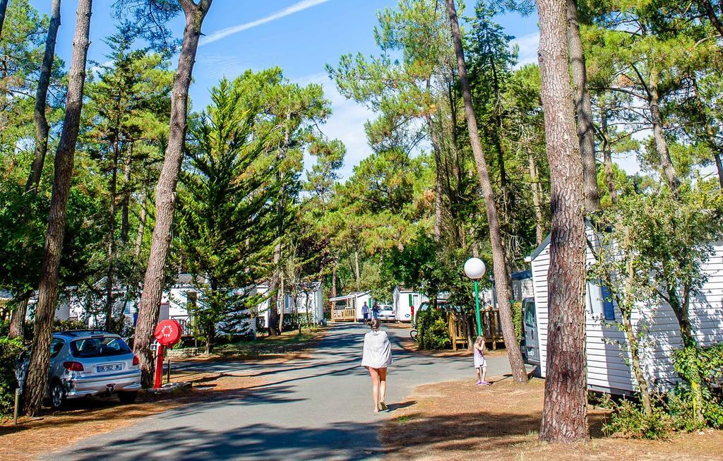 Domaine Residentiel De Plein Air Odalys Les Dunes Longeville-sur-Mer Dış mekan fotoğraf